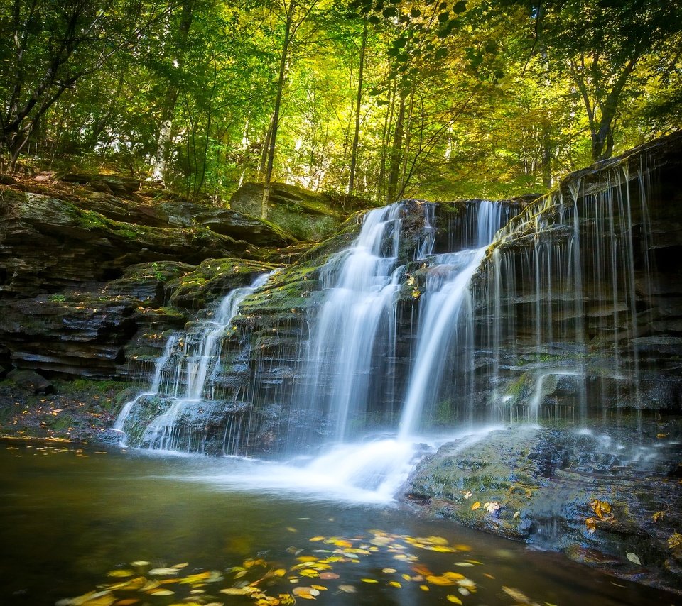 Обои лес, водопад, осень, пенсильвания, каскад, forest, waterfall, autumn, pa, cascade разрешение 2560x1920 Загрузить