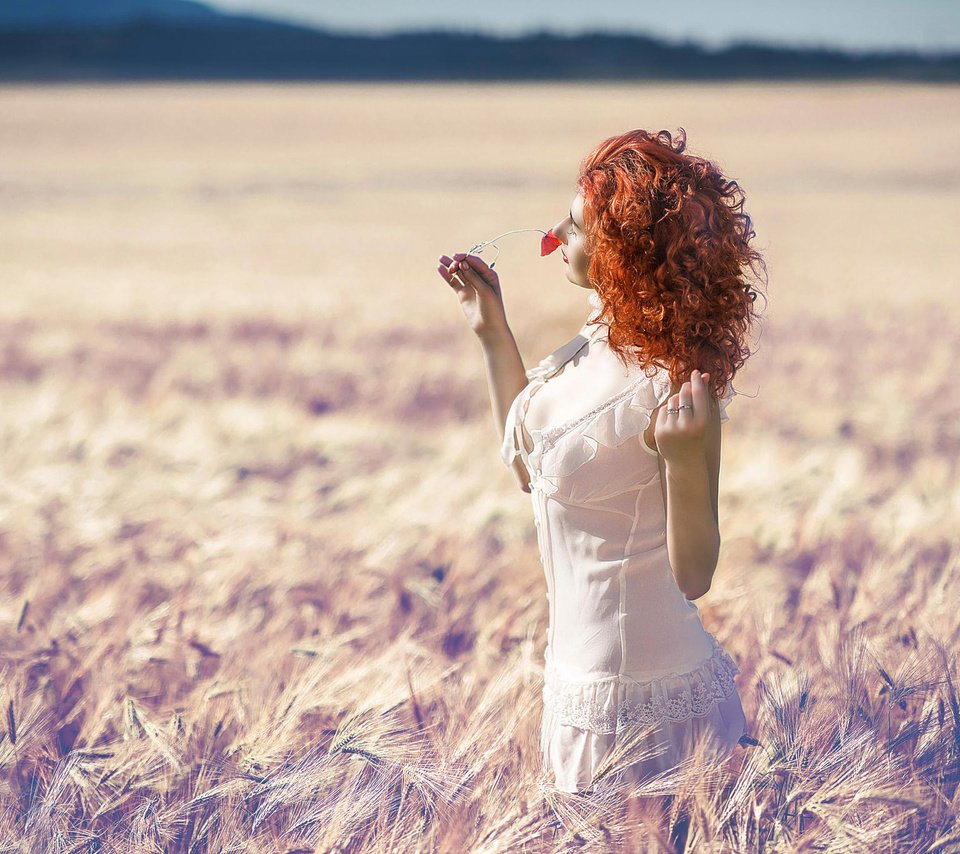 Обои солнце, девушка, поле, лето, цветочек, рыжеволосая, the sun, girl, field, summer, flower, redhead разрешение 2048x1367 Загрузить