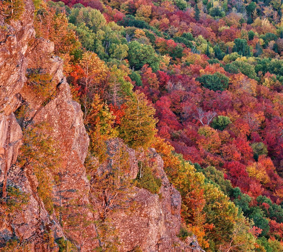 Обои деревья, скалы, лес, осень, сша, багрянец, мичиган, чиппева, trees, rocks, forest, autumn, usa, the crimson, michigan, chippewa разрешение 2048x1365 Загрузить