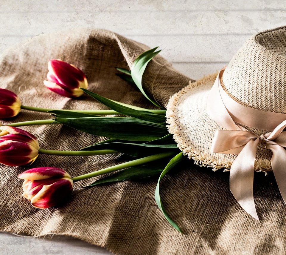 Обои цветы, тюльпаны, лента, шляпа, flowers, tulips, tape, hat разрешение 2000x1257 Загрузить