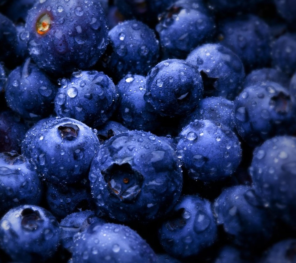 Обои роса, ягода, черника, rosa, berry, blueberries разрешение 3840x2160 Загрузить