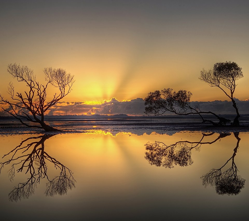 Обои деревья, вечер, озеро, природа, закат, отражение, trees, the evening, lake, nature, sunset, reflection разрешение 5592x3700 Загрузить