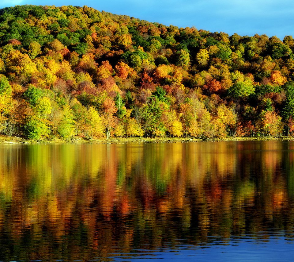 Обои деревья, вода, отражение, осень, красота, пейзаж. природа, время года, trees, water, reflection, autumn, beauty, landscape. nature, time of the year разрешение 2048x1356 Загрузить