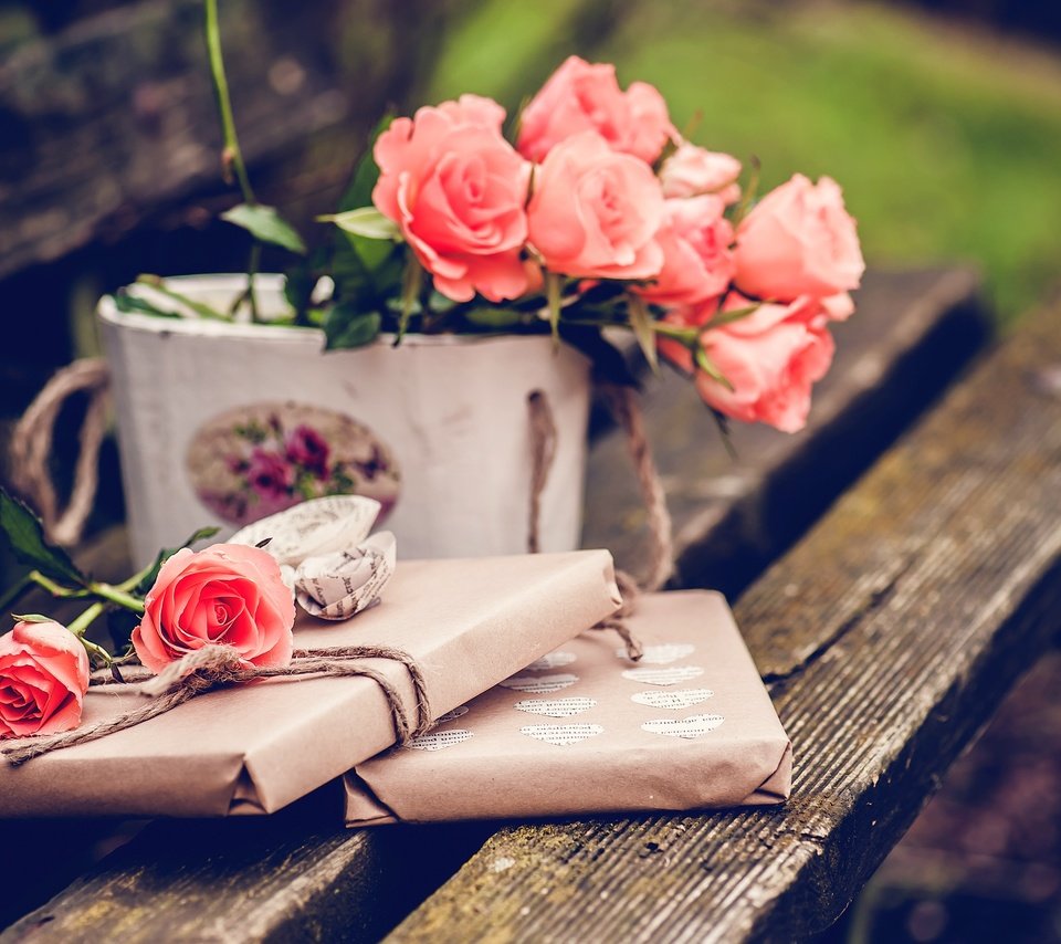 Обои цветы, розы, скамейка, подарок, flowers, roses, bench, gift разрешение 3730x2482 Загрузить