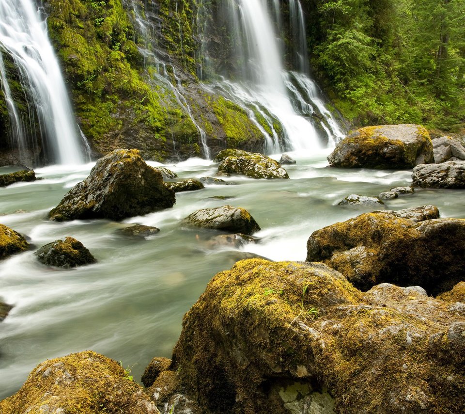 Обои деревья, река, камни, лес, водопад, trees, river, stones, forest, waterfall разрешение 1920x1080 Загрузить