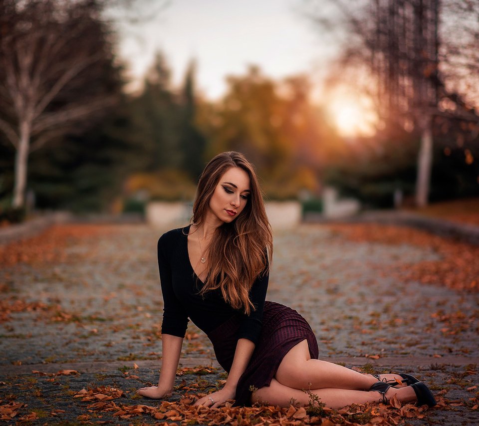 Обои листья, девушка, поза, ножки, leaves, girl, pose, legs разрешение 2048x1367 Загрузить