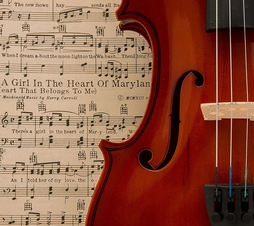 Обои ноты, скрипка, музыка, notes, violin, music разрешение 2560x1707 Загрузить