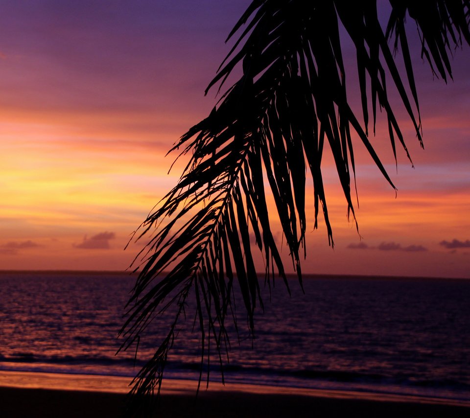 Обои небо, вечер, море, пальмы, тропики, the sky, the evening, sea, palm trees, tropics разрешение 2048x1365 Загрузить