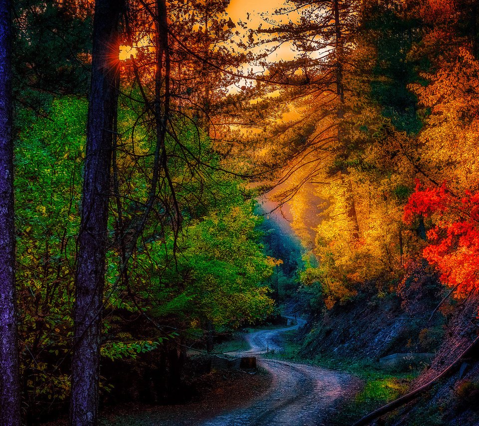 Обои дорога, листья, пейзаж, осень, road, leaves, landscape, autumn разрешение 2048x1152 Загрузить