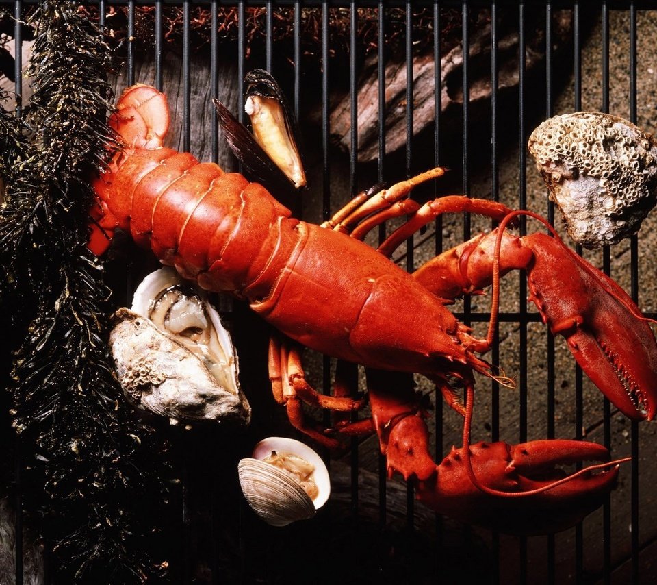 Обои решетка, морепродукты, устрицы, лобстер, grille, seafood, oysters, lobster разрешение 1920x1200 Загрузить