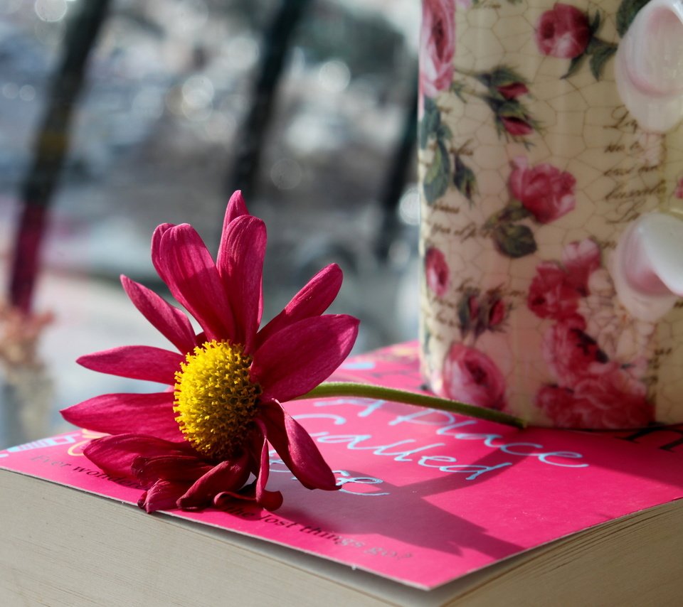 Обои цветок, лепестки, кружка, розовые, чашка, книга, flower, petals, mug, pink, cup, book разрешение 2560x1600 Загрузить