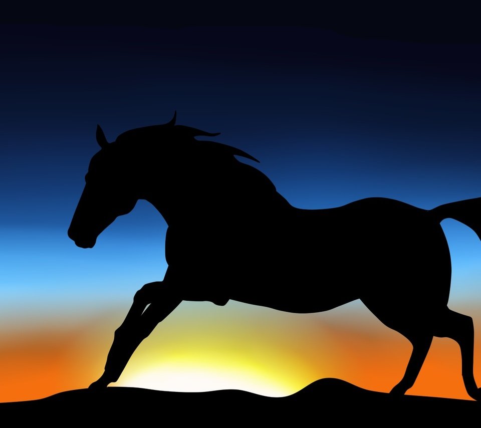 Обои небо, лошадь, силуэт, животное, грива, хвост, скачет, the sky, horse, silhouette, animal, mane, tail, jump разрешение 1920x1080 Загрузить