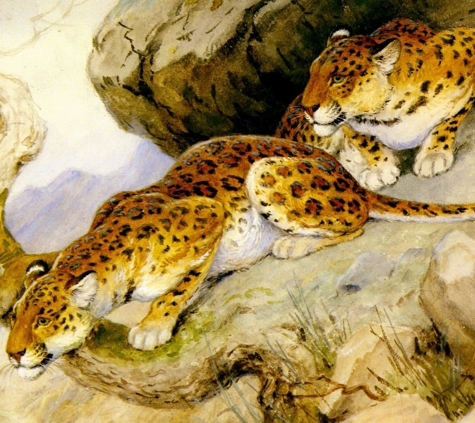 Обои арт, хищники, леопарды, живопись, georges-frederic rotig, art, predators, leopards, painting разрешение 2391x1970 Загрузить