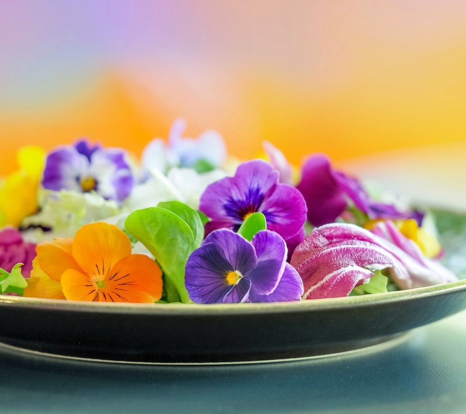Обои цветы, фон, тарелка, flowers, background, plate разрешение 2048x1365 Загрузить