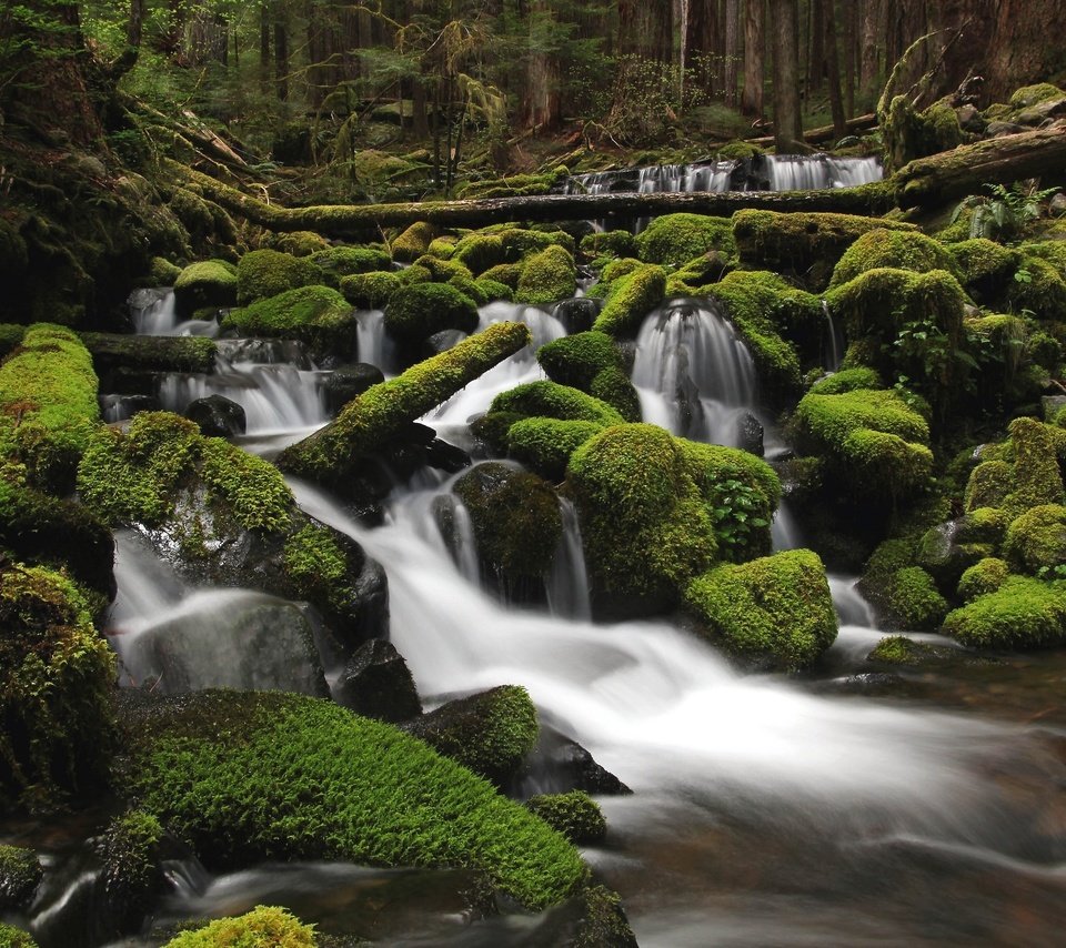 Обои вода, река, камни, зелень, лес, мох, water, river, stones, greens, forest, moss разрешение 2048x1365 Загрузить