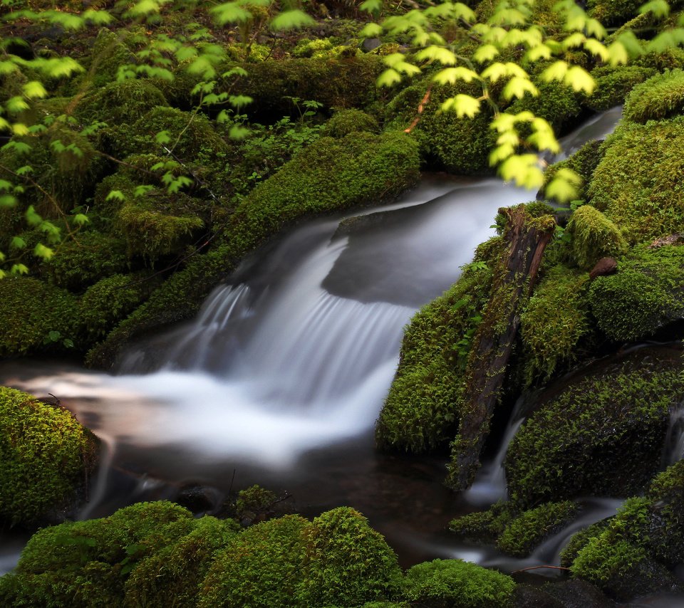 Обои вода, камни, зелень, поток, мох, water, stones, greens, stream, moss разрешение 2048x1464 Загрузить