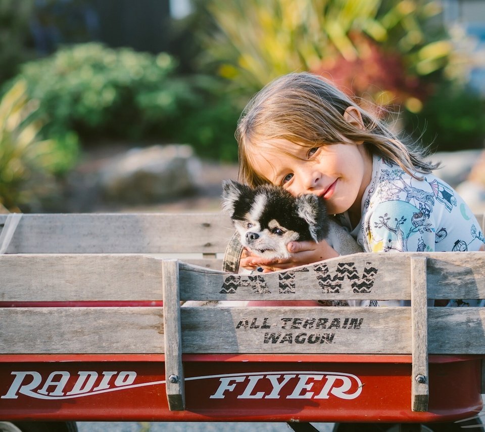 Обои собака, девочка, щенок, тележка, друзья, dog, girl, puppy, truck, friends разрешение 1920x1440 Загрузить