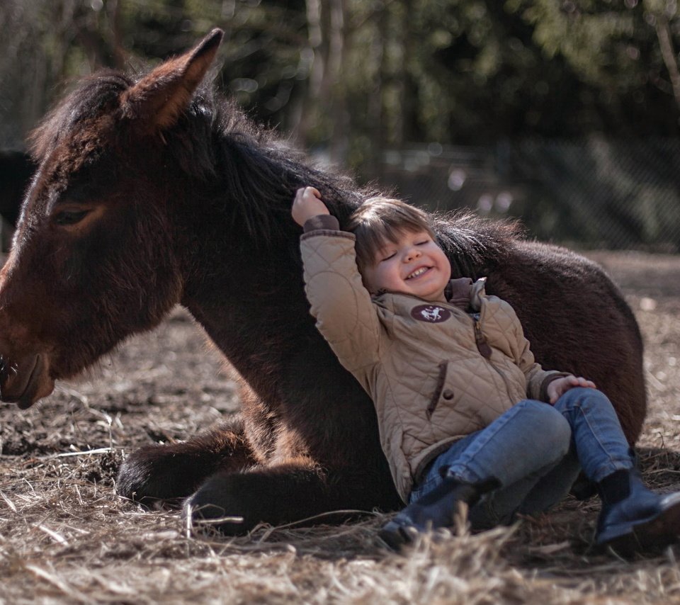 Обои фон, мальчик, пони, background, boy, pony разрешение 3479x2051 Загрузить