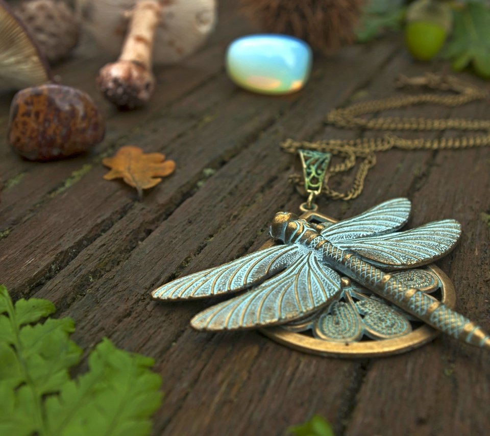 Обои стрекоза, кулон, украшение, dragonfly, pendant, decoration разрешение 2048x1371 Загрузить