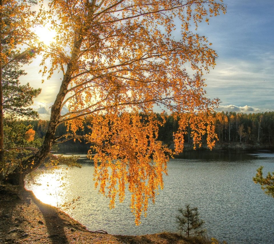 Обои свет, река, солнце, осень, береза, light, river, the sun, autumn, birch разрешение 2200x1450 Загрузить