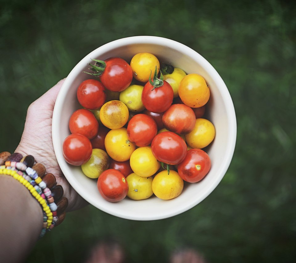 Обои рука, овощи, помидоры, томаты, hand, vegetables, tomatoes разрешение 6000x4000 Загрузить