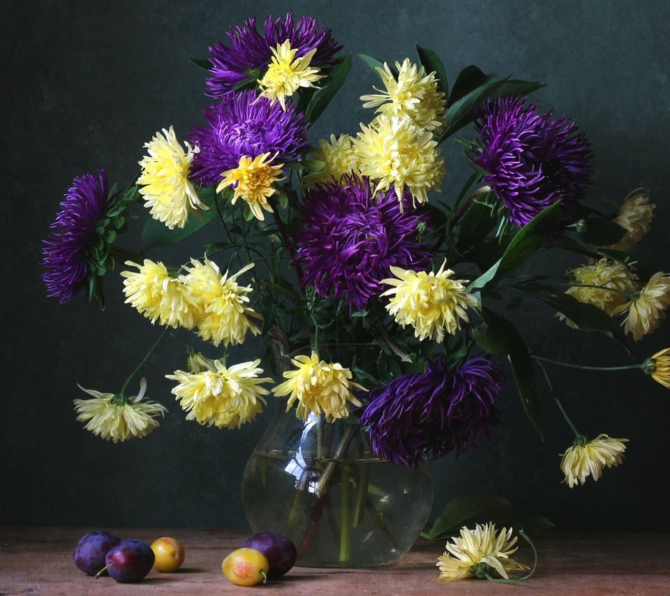 Обои букет, сливы, астры, bouquet, plum, asters разрешение 2100x1662 Загрузить