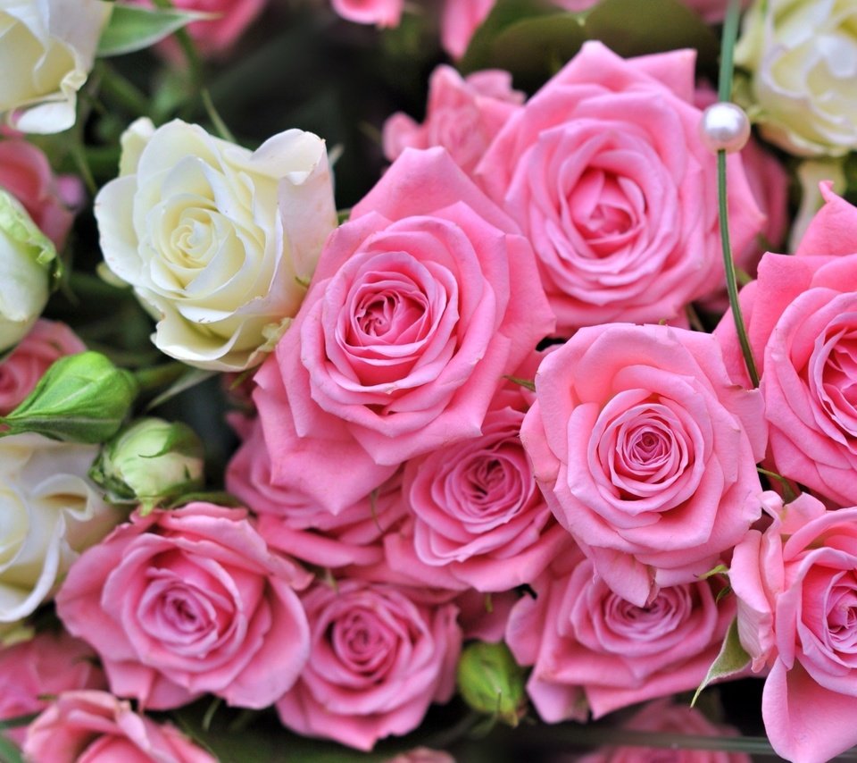 Обои бутоны, розы, букет, buds, roses, bouquet разрешение 1920x1249 Загрузить