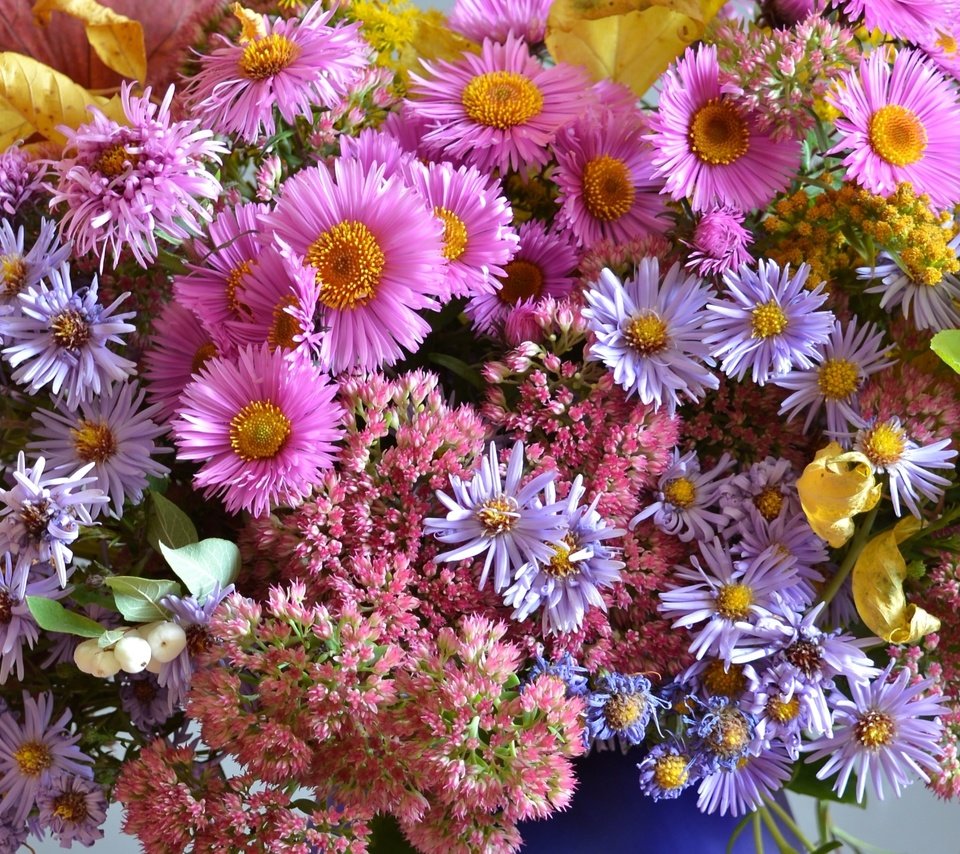 Обои осень, букет, астры, очиток, autumn, bouquet, asters, stonecrop разрешение 2100x1356 Загрузить