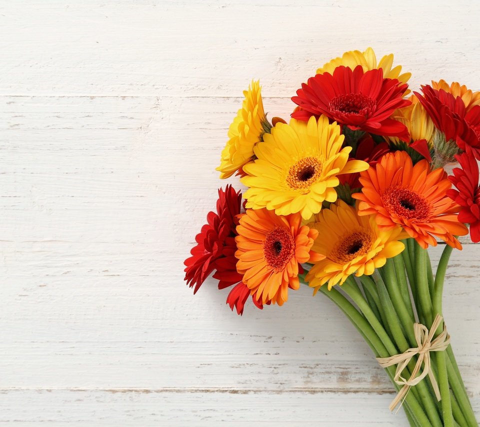 Обои красные, букет, желтые, оранжевые, герберы, букеты, gerberas, red, bouquet, yellow, orange, gerbera, bouquets разрешение 2880x1865 Загрузить