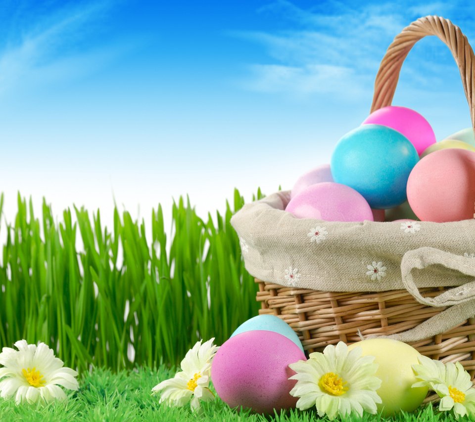 Обои небо, цветы, трава, природа, пасха, яйца, праздник, the sky, flowers, grass, nature, easter, eggs, holiday разрешение 5436x3673 Загрузить