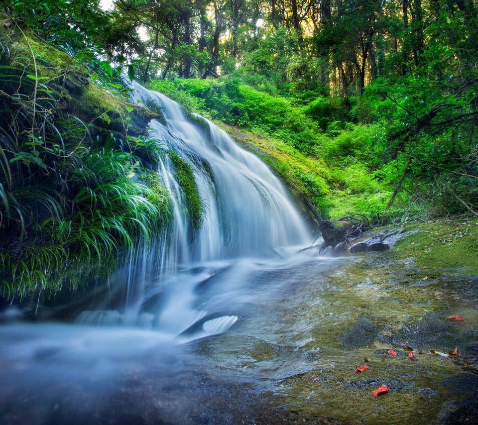 Обои трава, вода, лес, водопад, поток, мох, grass, water, forest, waterfall, stream, moss разрешение 2048x1249 Загрузить