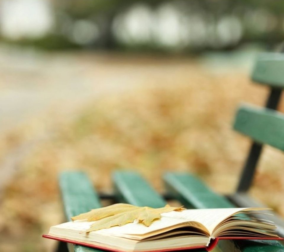 Обои осень, лист, скамейка, листик, книга, осен, книгa, autumn, sheet, bench, leaf, book разрешение 2560x1600 Загрузить