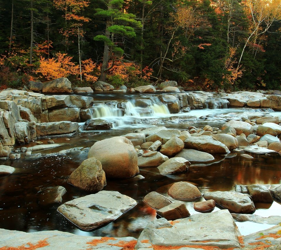 Обои деревья, вода, река, камни, осень, поток, деревь, осен, каменное, trees, water, river, stones, autumn, stream, stone разрешение 2880x1920 Загрузить