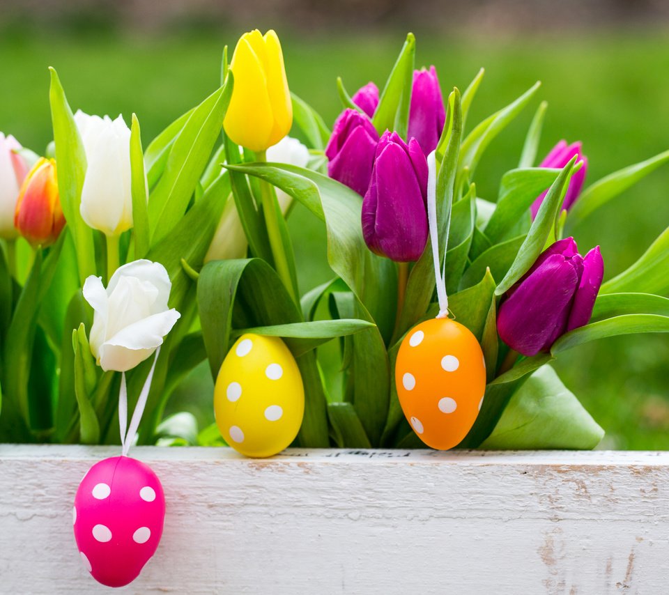 Обои весна, тюльпаны, пасха, яйца, тульпаны, глазунья, весенние, зеленые пасхальные, spring, tulips, easter, eggs разрешение 2880x1867 Загрузить