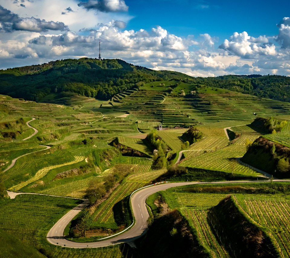 Обои дорога, облака, холмы, зелень, поля, плантации, германия, kaiserstuhl hills, road, clouds, hills, greens, field, plantation, germany разрешение 2048x1365 Загрузить