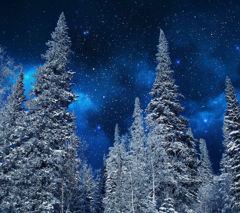 Обои небо, ели, ночь, неба, деревья, деревь, на природе, снег, ноч, звезд, природа, зима, звезды, мороз, the sky, ate, night, sky, trees, snow, nature, winter, stars, frost разрешение 1920x1200 Загрузить