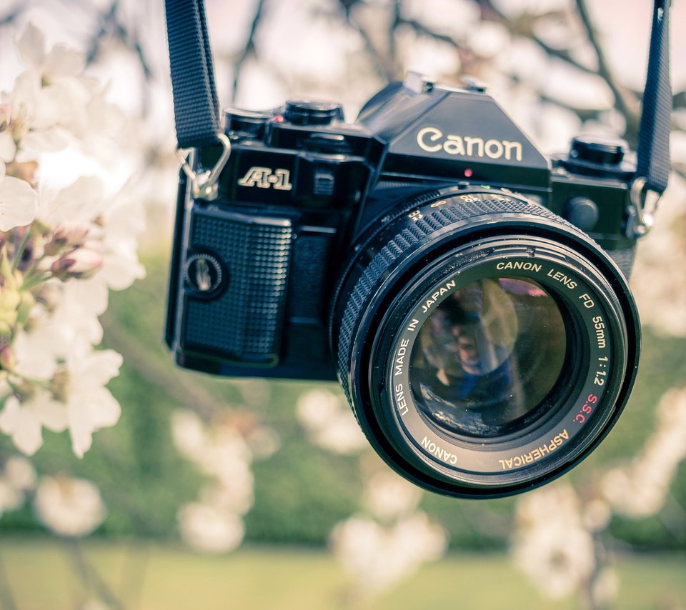 Обои сад, весна, камера, канон, garden, spring, camera, canon разрешение 2560x1610 Загрузить