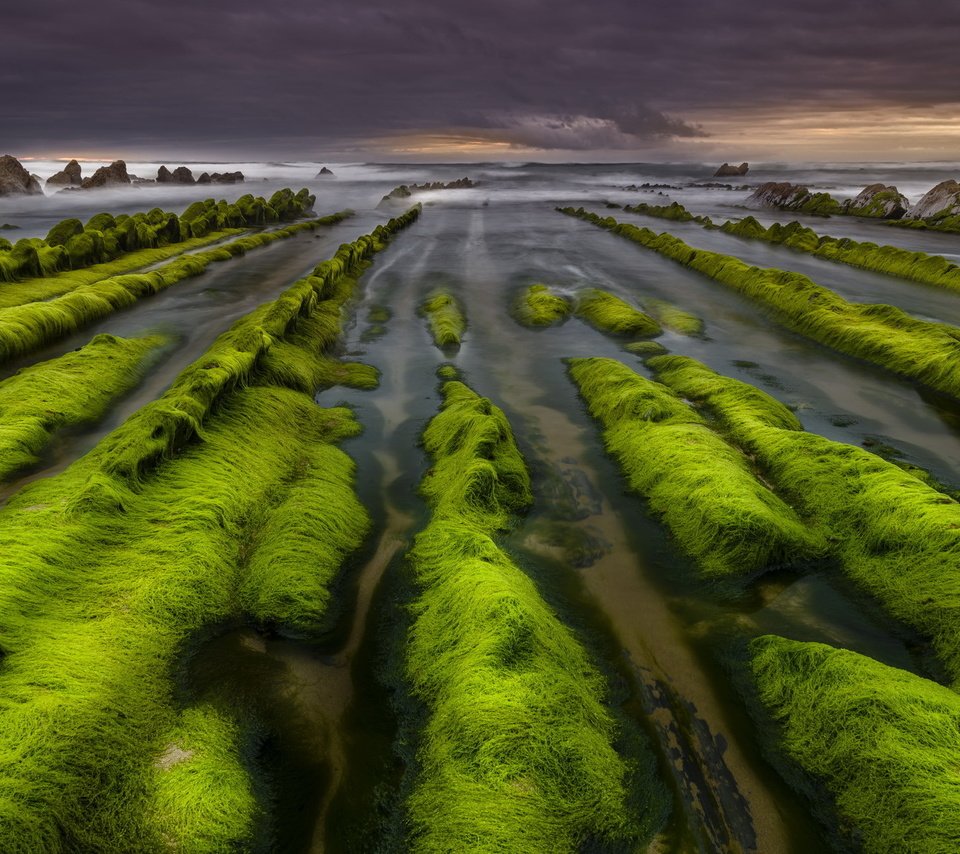 Обои скалы, камни, берег, море, водоросли, rocks, stones, shore, sea, algae разрешение 2048x1297 Загрузить