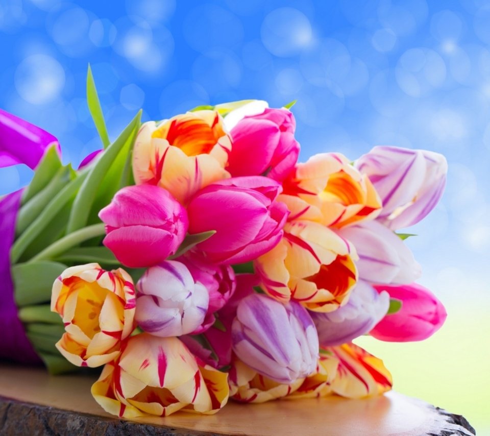 Обои цветы, букет, тюльпаны, flowers, bouquet, tulips разрешение 2560x1600 Загрузить