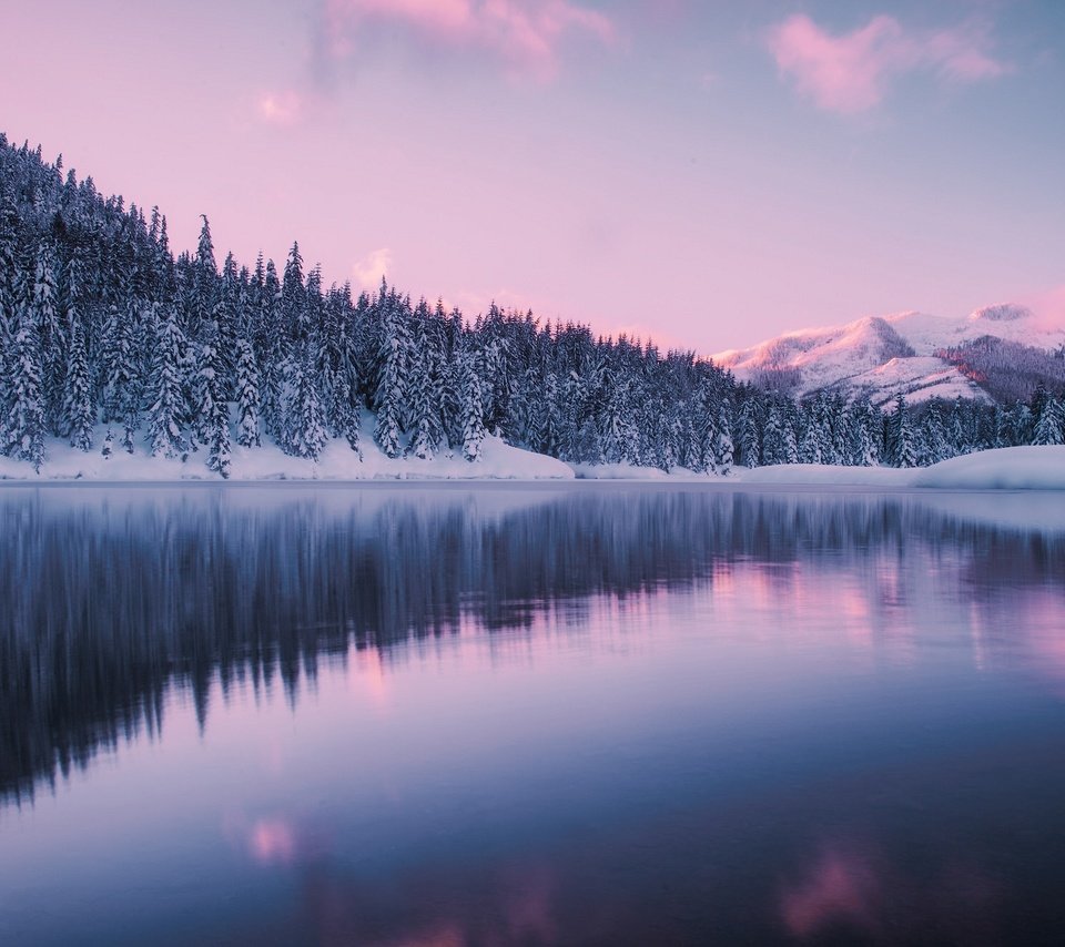 Обои озеро, горы, лес, зима, вашингтон, пруд, штат вашингтон, gold creek pond, hyak, гиак, the giac, lake, mountains, forest, winter, washington, pond разрешение 2048x1321 Загрузить