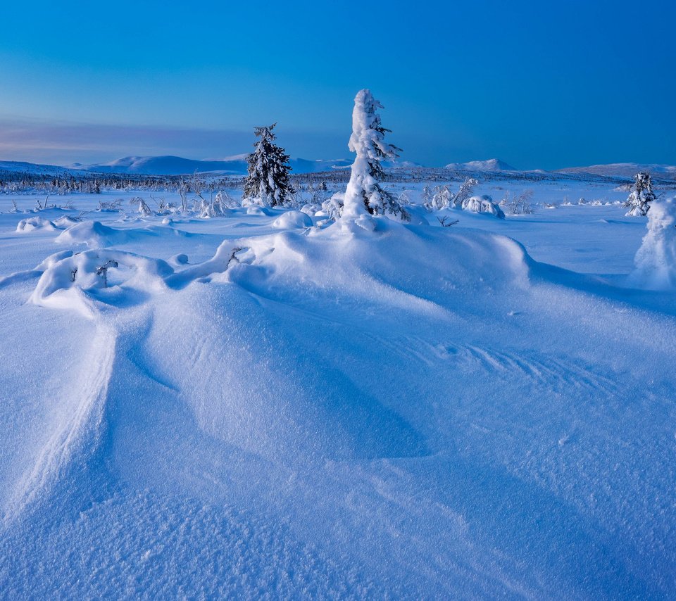 Обои деревья, снег, зима, швеция, сугробы, швеции, лапландия, gitsfjallets nature reserve, trees, snow, winter, sweden, the snow, lapland разрешение 2048x1365 Загрузить