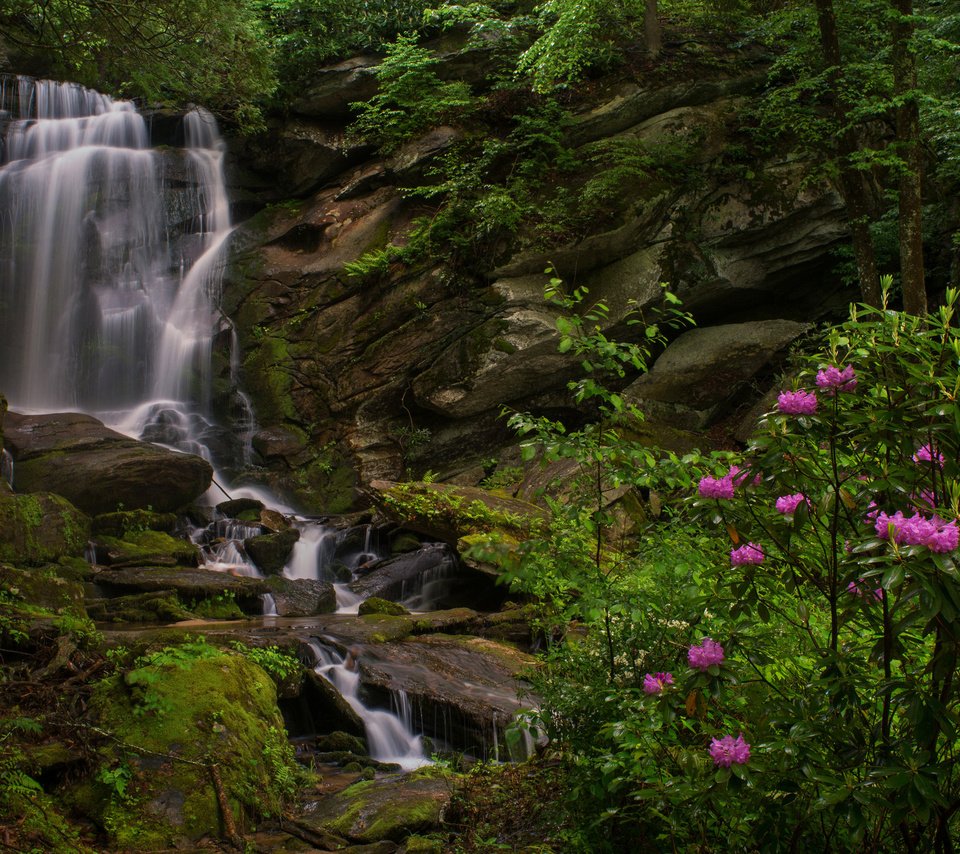 Обои скалы, водопад, куст, рододендроны, северная каролина, seven falls, этова, rocks, waterfall, bush, rhododendrons, north carolina, etowah разрешение 2048x1352 Загрузить