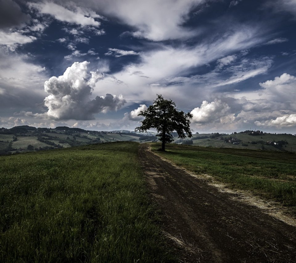 Обои дорога, дерево, поле, road, tree, field разрешение 2048x1367 Загрузить