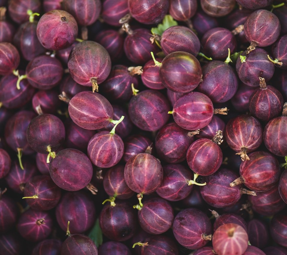 Обои макро, ягоды, крыжовник, macro, berries, gooseberry разрешение 3000x1997 Загрузить