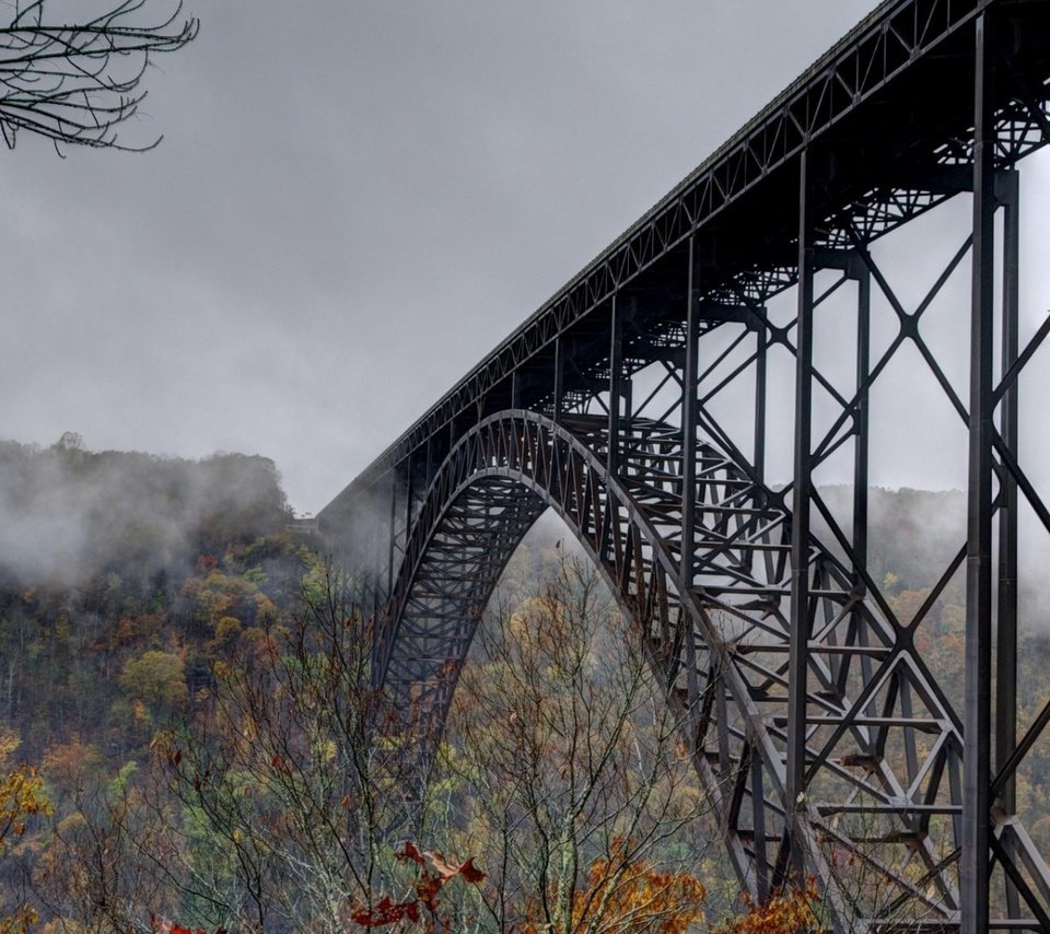 Обои деревья, лес, туман, мост, осень, trees, forest, fog, bridge, autumn разрешение 3840x2160 Загрузить