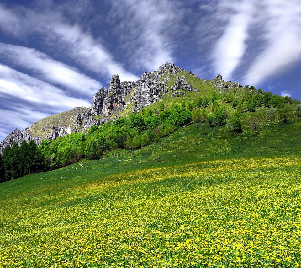 Обои небо, цветы, трава, облака, скала, гора, the sky, flowers, grass, clouds, rock, mountain разрешение 2048x1108 Загрузить