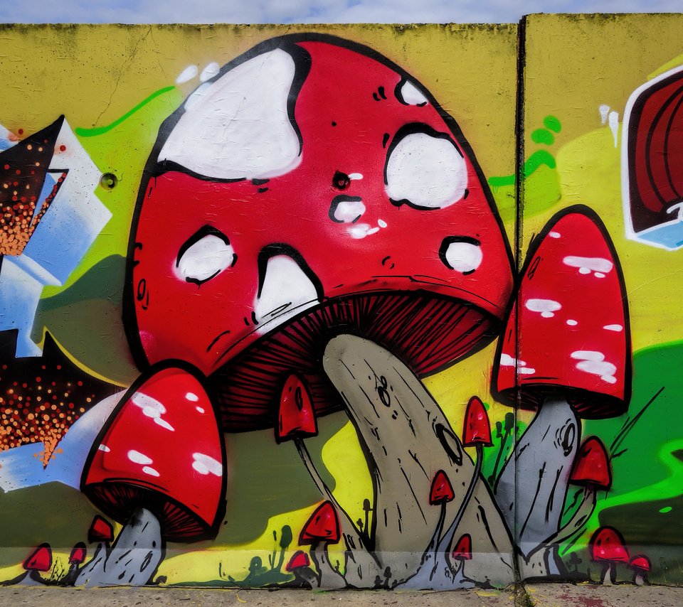 Обои арт, город, стена, грибы, графити, art, the city, wall, mushrooms, grafiti разрешение 2048x1365 Загрузить