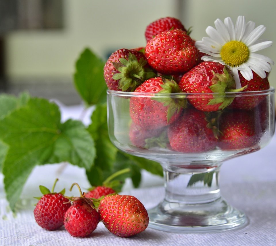 Обои клубника, красный, ромашка, ягоды, вазочка, strawberry, red, daisy, berries, vase разрешение 3300x2145 Загрузить