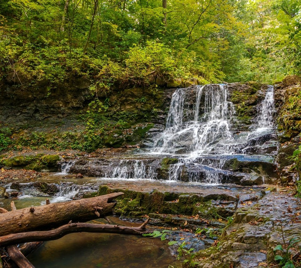 Обои деревья, вода, река, камни, лес, поток, берег реки, trees, water, river, stones, forest, stream, the river разрешение 2400x1540 Загрузить