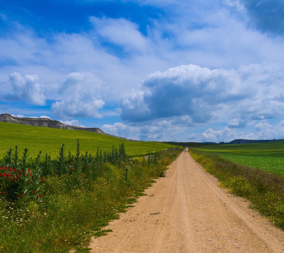 Обои дорога, цветы, трава, горы, природа, испания, кастилья, road, flowers, grass, mountains, nature, spain, castilla разрешение 4607x3126 Загрузить